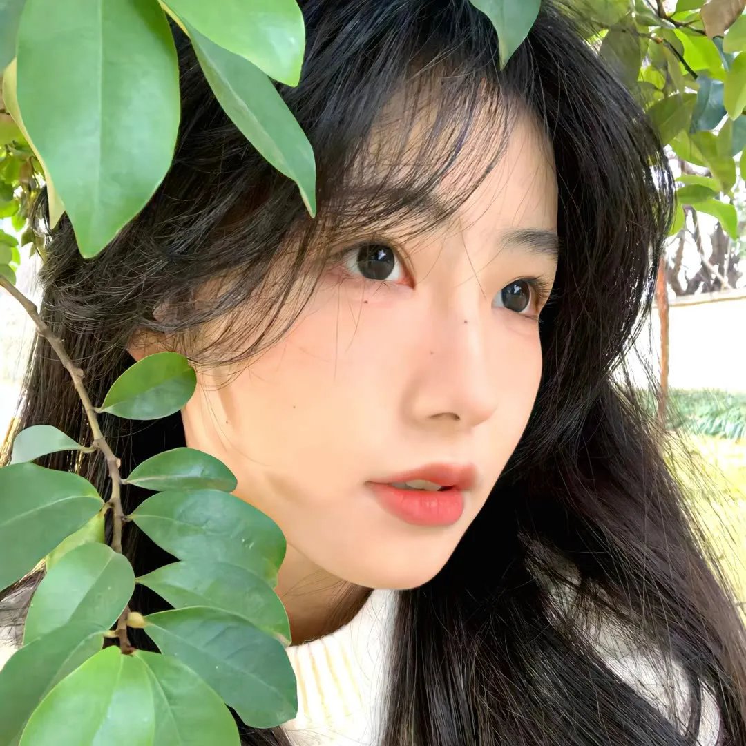 白发相依胜春风